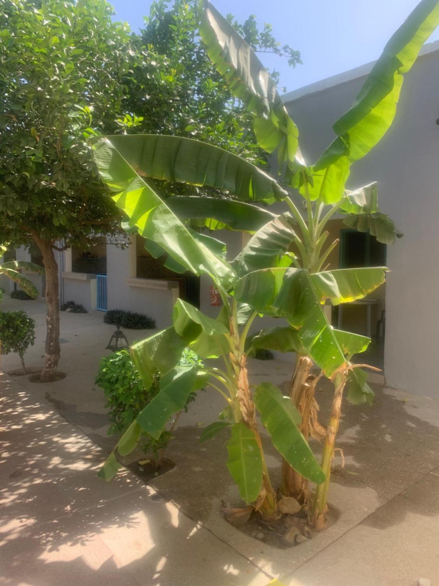 Auberge Keur Ely Ouoran Luaran gambar