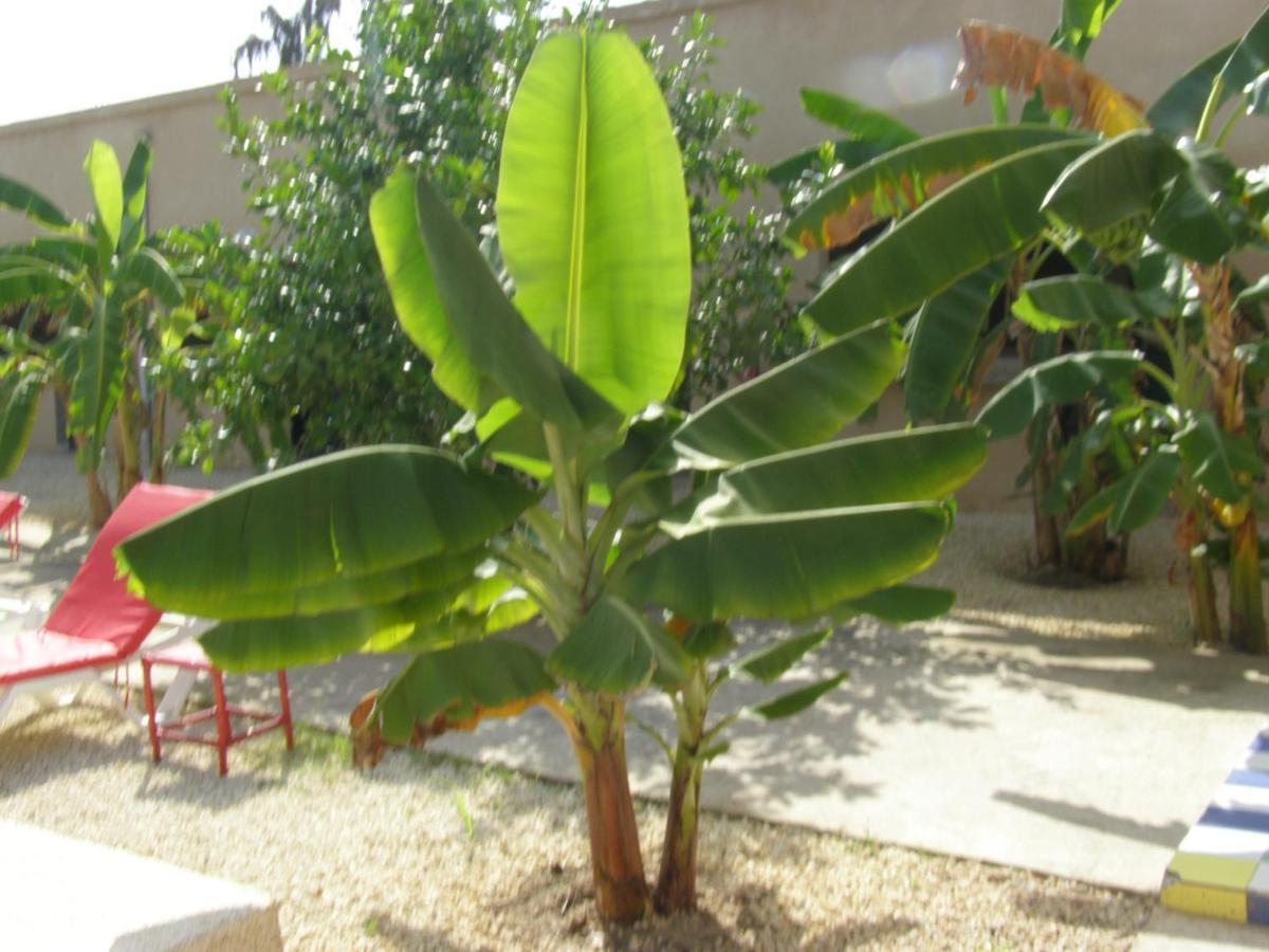 Auberge Keur Ely Ouoran Luaran gambar